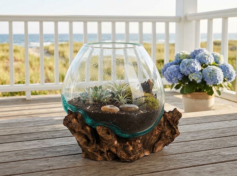 Cape Craftsmen Hand-Blown Glass and Driftwood Terrarium Kit